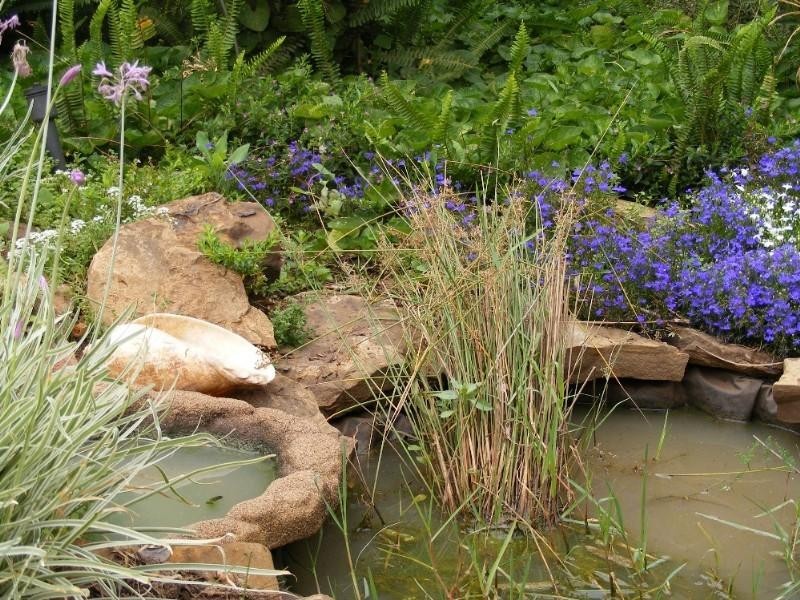 134 Arthur Street, St George QLD 4487