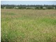 Deelamon Bollon Road, St George QLD 4487