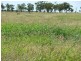 Deelamon Bollon Road, St George QLD 4487
