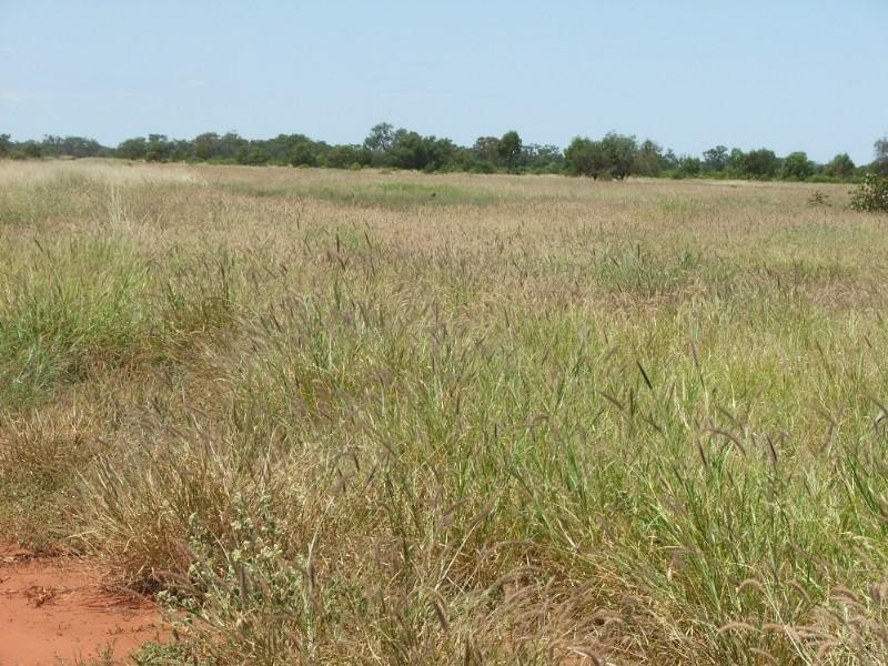 Deelamon Bollon Road, St George QLD 4487
