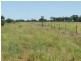 Deelamon Bollon Road, St George QLD 4487