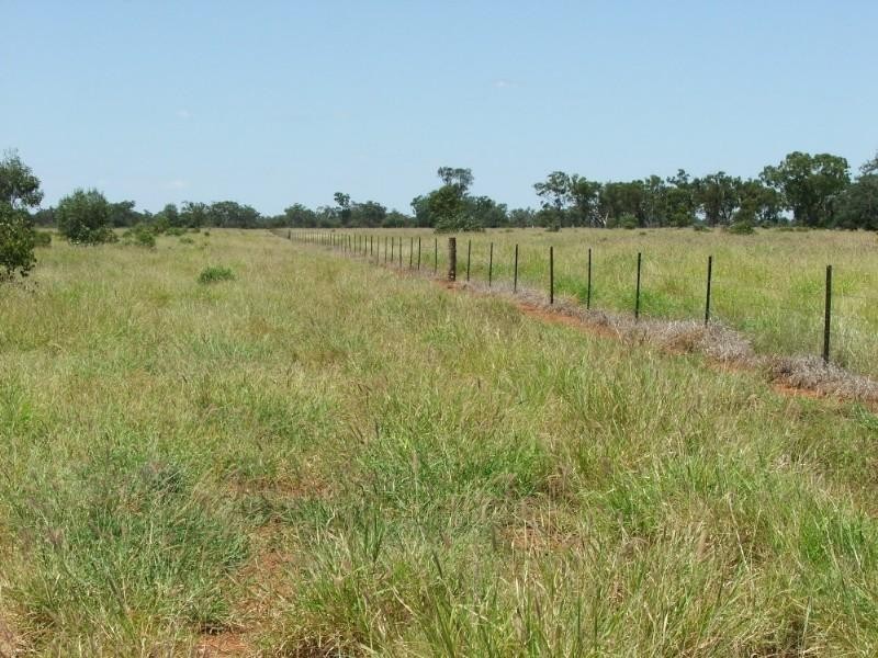 Deelamon Bollon Road, St George QLD 4487