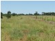 Deelamon Bollon Road, St George QLD 4487