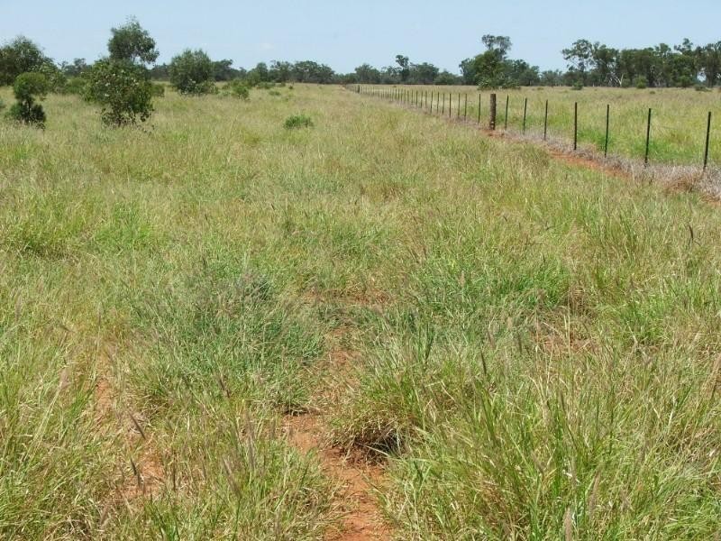 Deelamon Bollon Road, St George QLD 4487