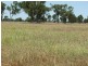 Deelamon Bollon Road, St George QLD 4487