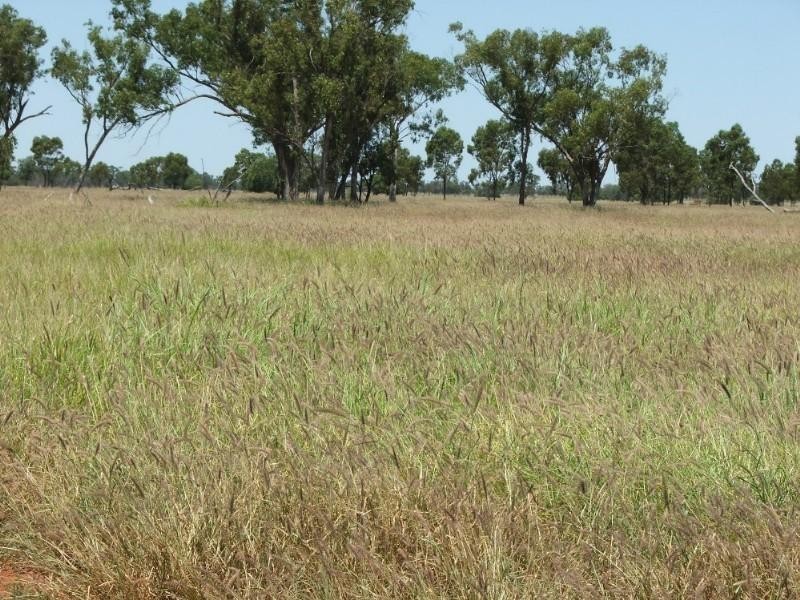 Deelamon Bollon Road, St George QLD 4487