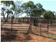 Deelamon Bollon Road, St George QLD 4487