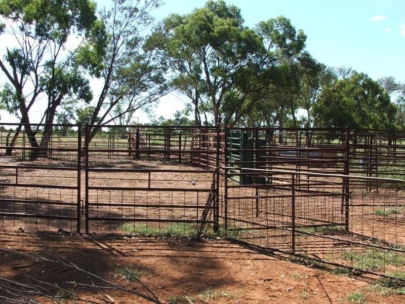 Deelamon Bollon Road, St George QLD 4487