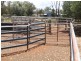 00 “Belmore”, Bollon QLD 4488