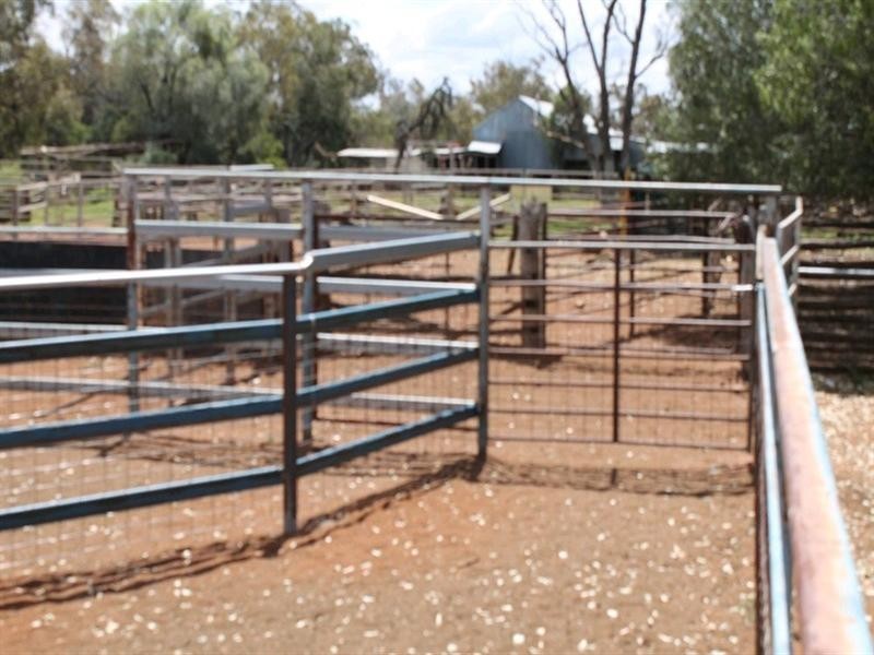 00 “Belmore”, Bollon QLD 4488