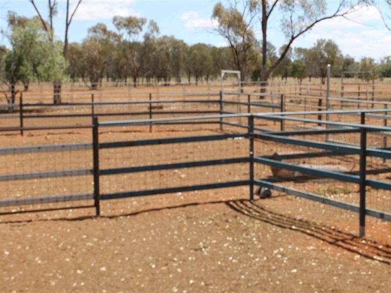 00 “Belmore”, Bollon QLD 4488