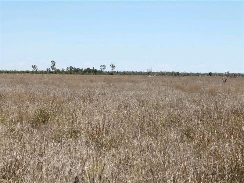 00 “Belmore”, Bollon QLD 4488