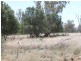 00 “Belmore”, Bollon QLD 4488