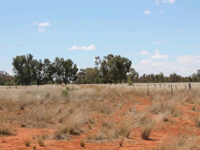 00 “Belmore”, Bollon QLD 4488