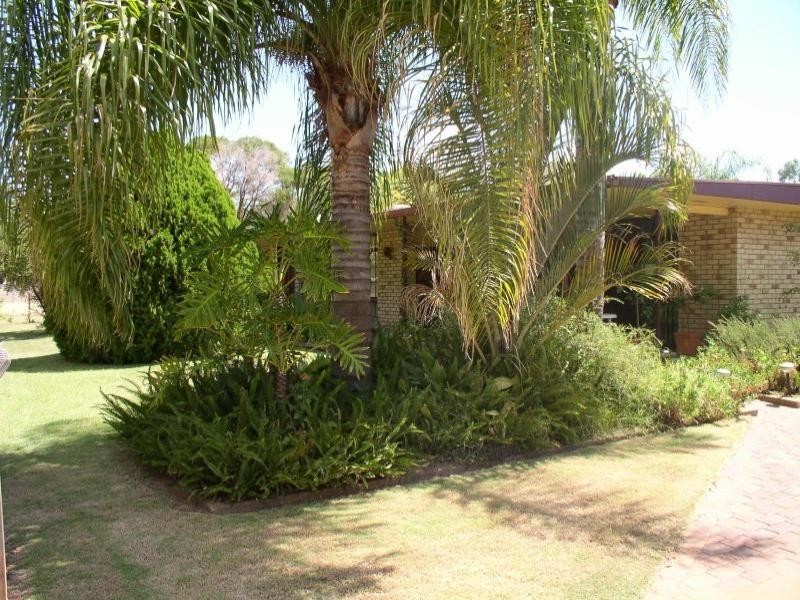 133 Arthur Street, St George QLD 4487