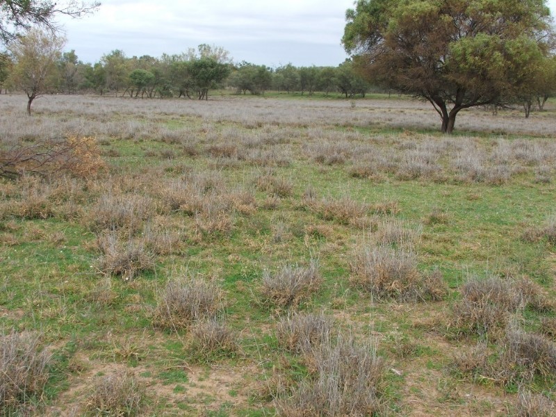 Lot 13 Whytes Road, St George QLD 4487