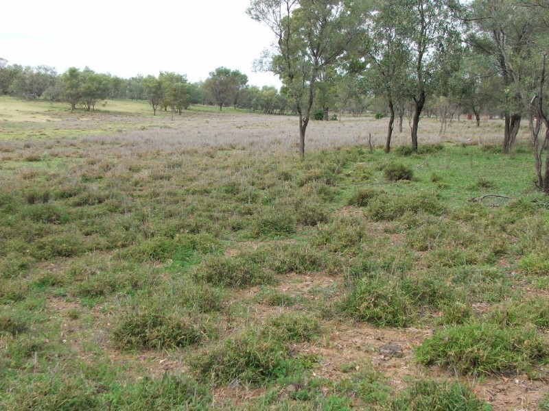 Lot 13 Whytes Road, St George QLD 4487