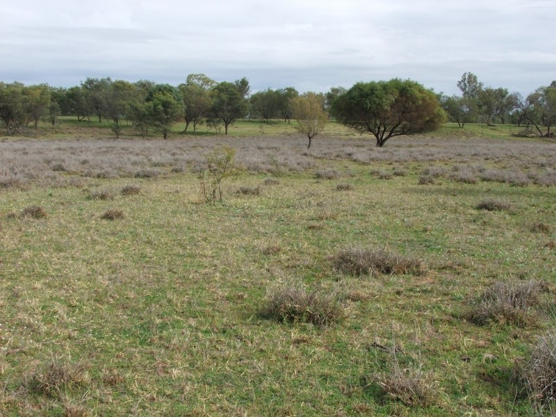 Lot 13 Whytes Road, St George QLD 4487