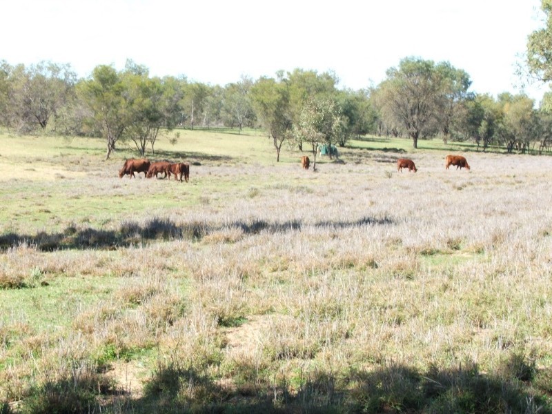 Lot 13 Whytes Road, St George QLD 4487
