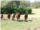 Lot 13 Whytes Road, St George QLD 4487