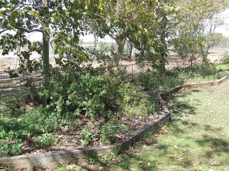 Lot 1 Thallon Road, St George QLD 4487