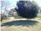 252 Alfred Street, St George QLD 4487