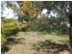 Lot 1 Thallon Road, St George QLD 4487