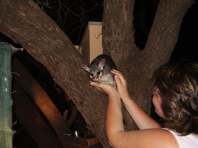 Lot 3 Carnarvon Highway, St George QLD 4487