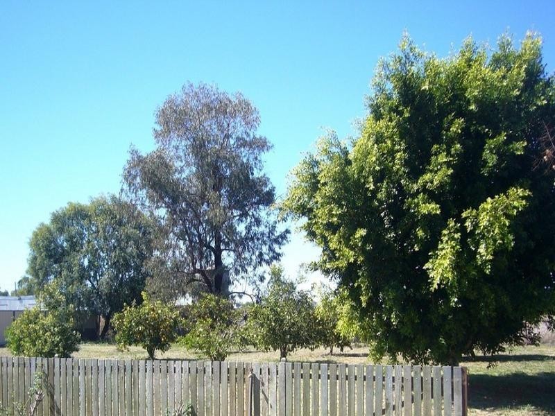 252 Alfred Street, St George QLD 4487