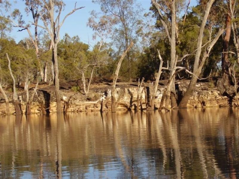 LOT 3 Carnarvon Highway, St George QLD 4487