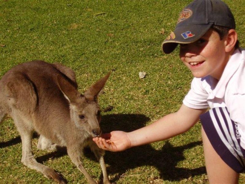 LOT 3 Carnarvon Highway, St George QLD 4487