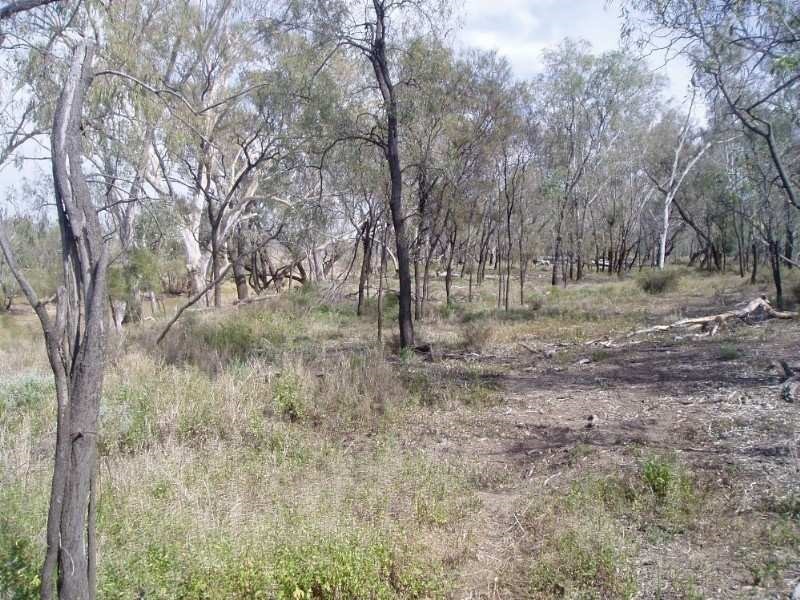 00 Whytes Road, St George QLD 4487