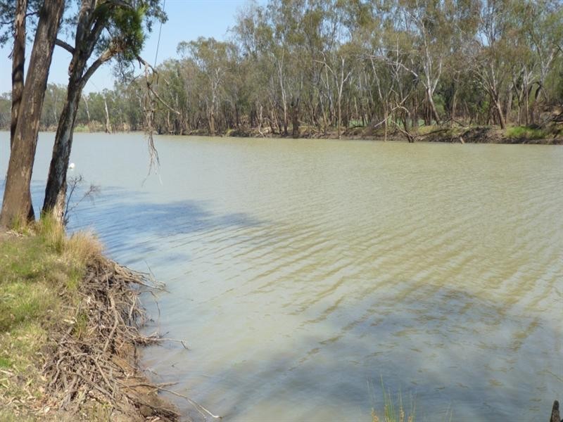 00 CARNARVON Highway, St George QLD 4487