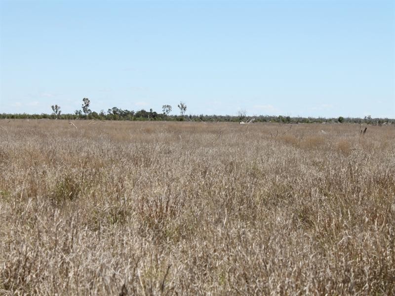 01 Old Woolerina Road, St George QLD 4487