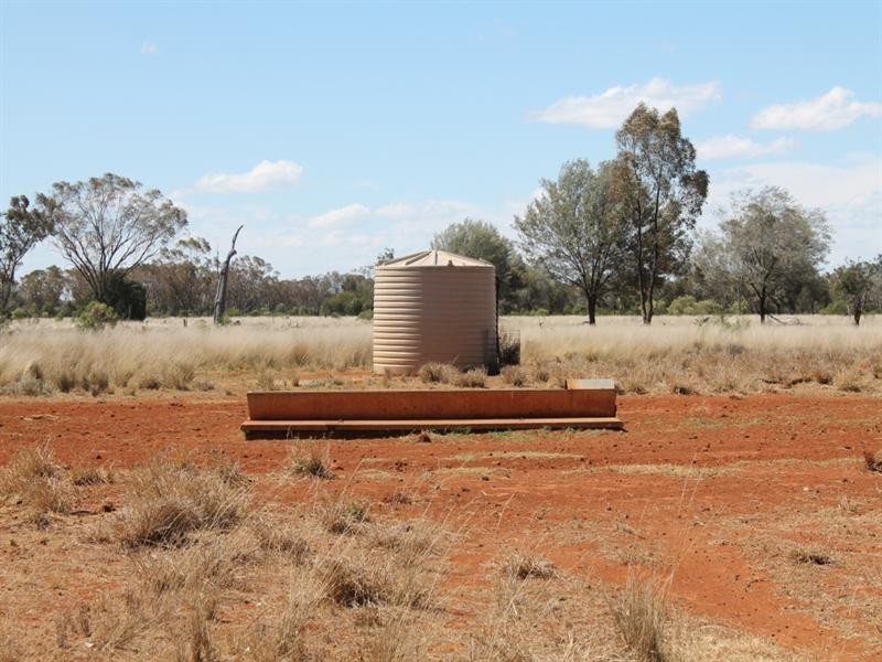 01 Old Woolerina Road, St George QLD 4487