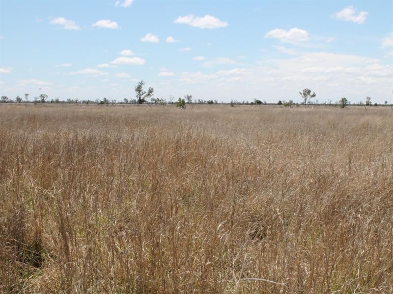 01 Old Woolerina Road, St George QLD 4487