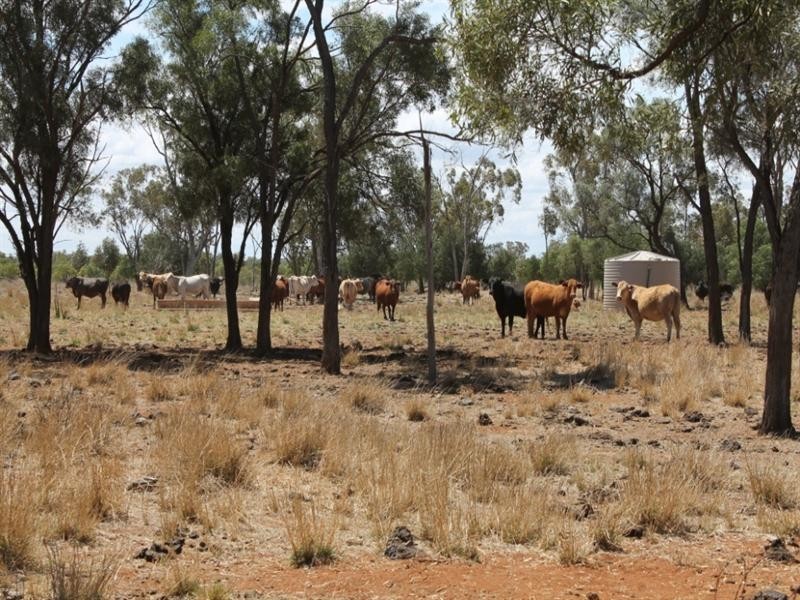 01 Old Woolerina Road, St George QLD 4487