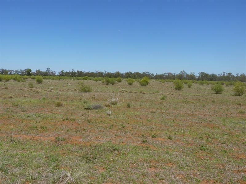 2171 DAYMAR – WEENGALLON Road, Weengallon QLD 4497