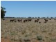 2171 DAYMAR – WEENGALLON Road, Weengallon QLD 4497