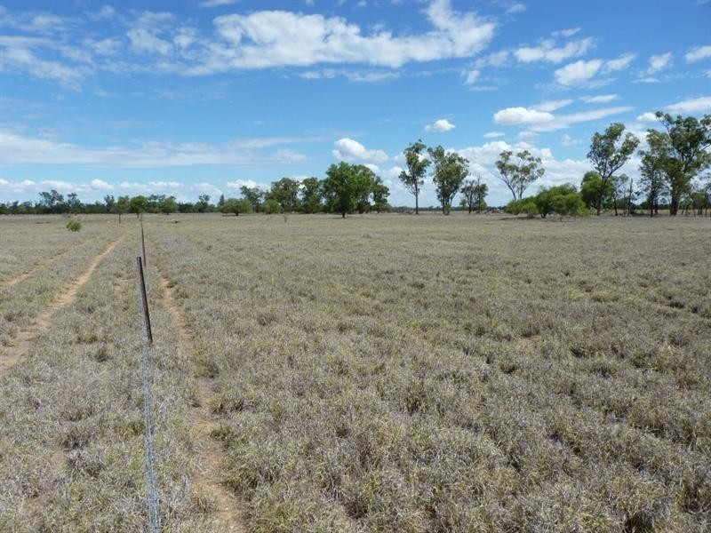 LOT 46 SALMON Road, St George QLD 4487