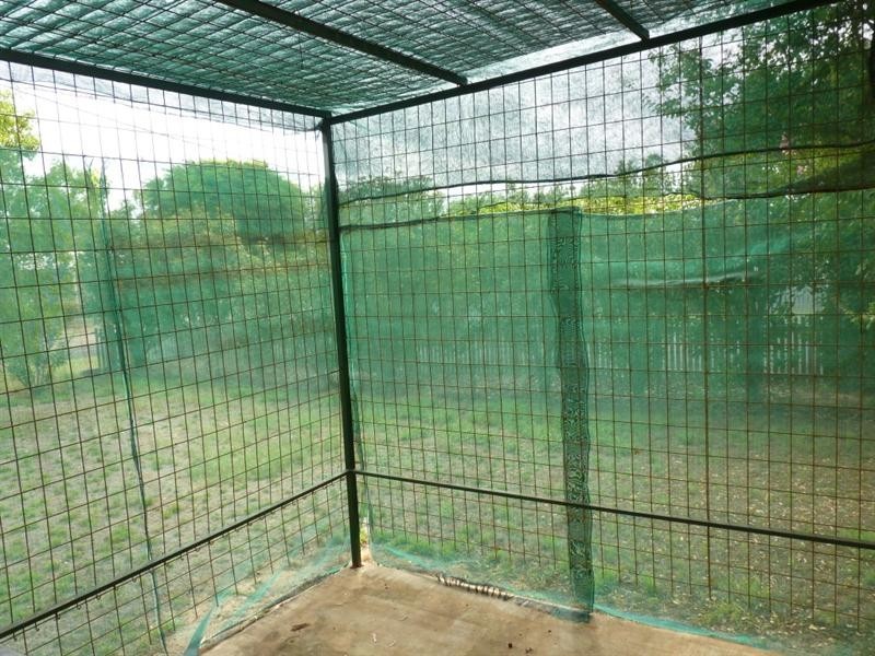 21 Weatherall Street, St George QLD 4487