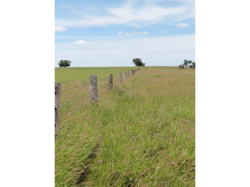 . CHAMBERS Road, Taroom QLD 4420