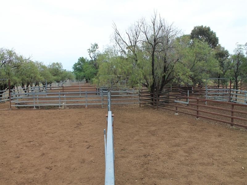 . CHAMBERS Road, Taroom QLD 4420