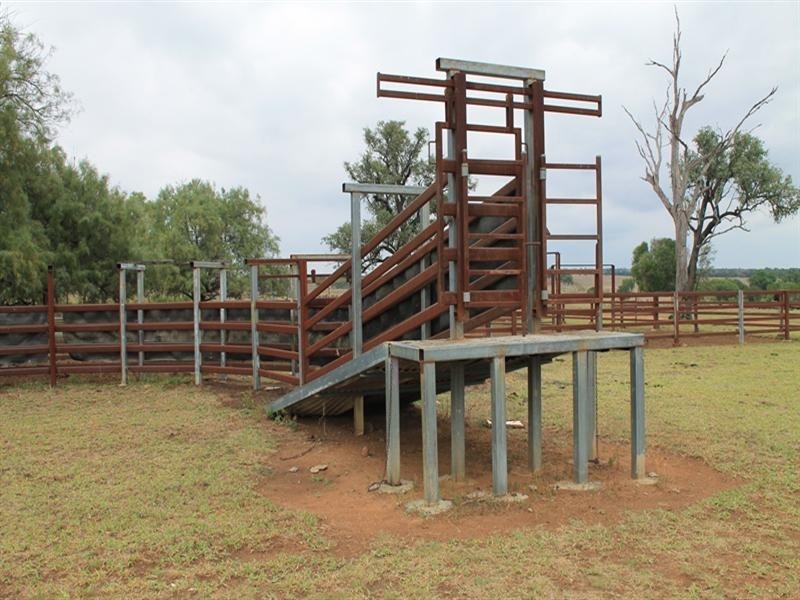 . CHAMBERS Road, Taroom QLD 4420
