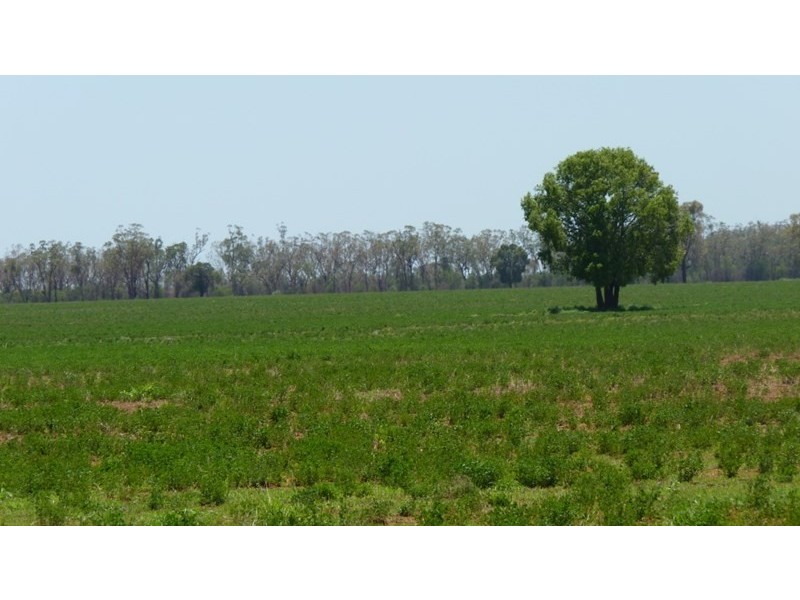 0 NORTH WEENGALLON Road, Weengallon QLD 4497