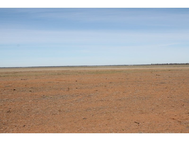 17930 JAKELWAR – GOODOOGA, Dirranbandi QLD 4486