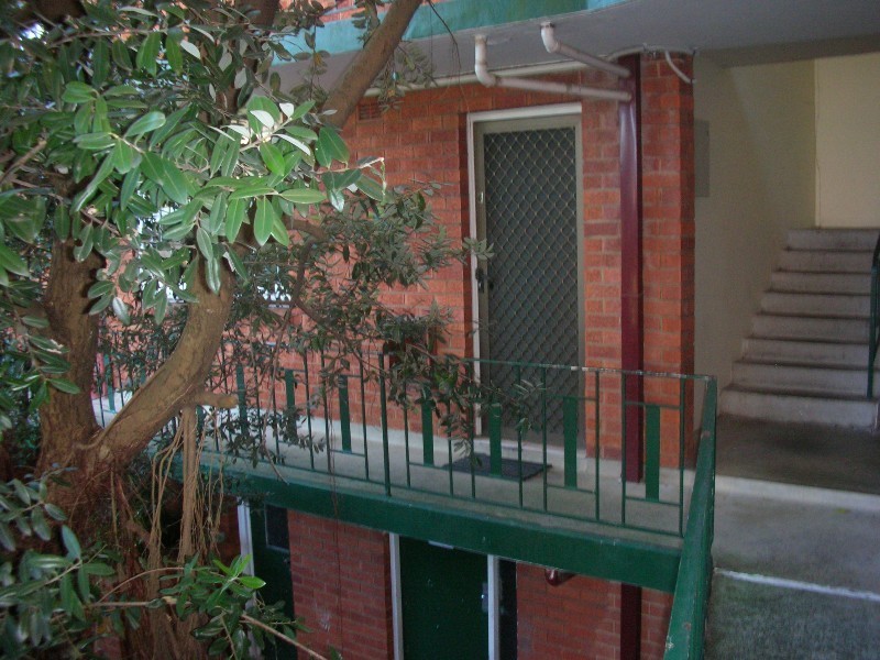 45 Harrington Street, Enmore NSW 2042