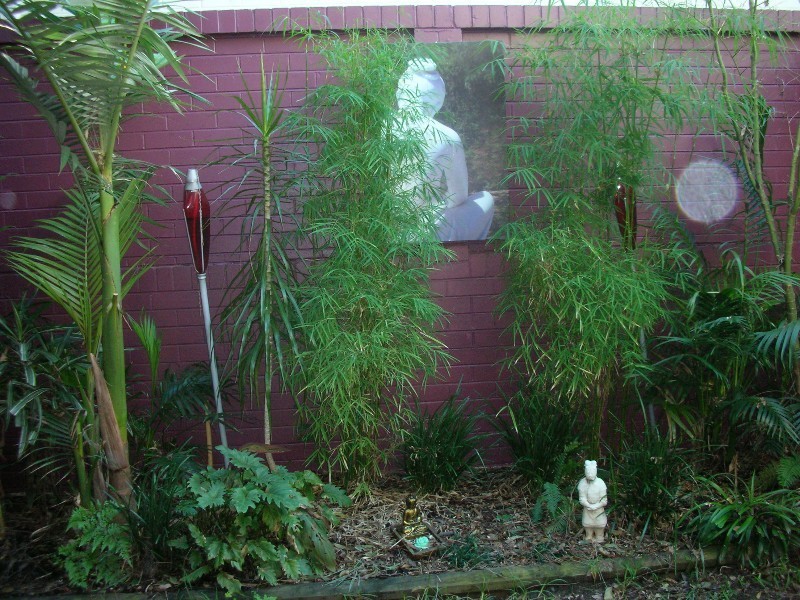 6/50-52 Fotheringham Street, Enmore NSW 2042