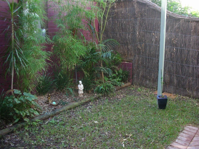 6/50-52 Fotheringham Street, Newtown NSW 2042