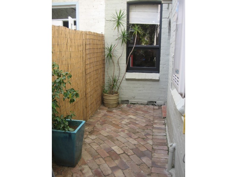 41 Ferndale Street, Newtown NSW 2042